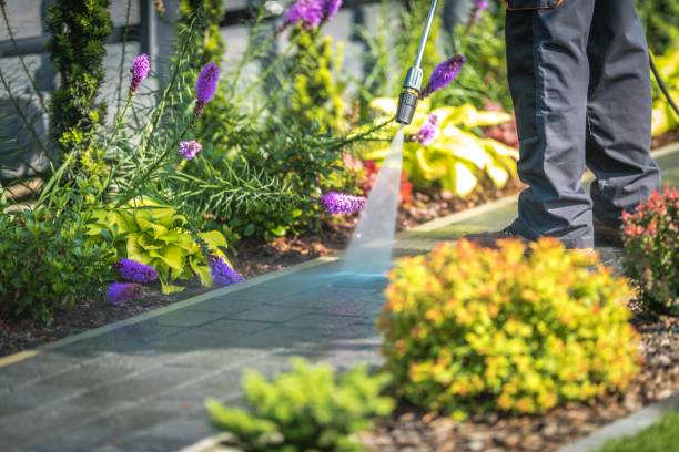Best Concrete Surface Cleaning in Horseheads North, NY